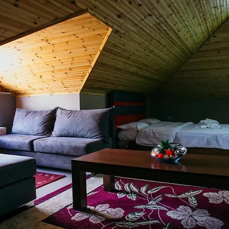 Vila Panorama Hotel Voskopoje